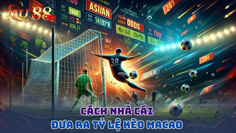 Cách nhà cái đưa ra tỷ lệ kèo Macao